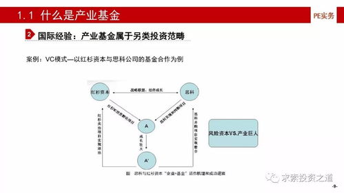 產(chǎn)業(yè)基金的建立、投資策略、投后管理與風(fēng)險控制